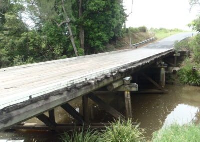 Guanaba Creek Bridge Replacement: Environmental Investigation Report