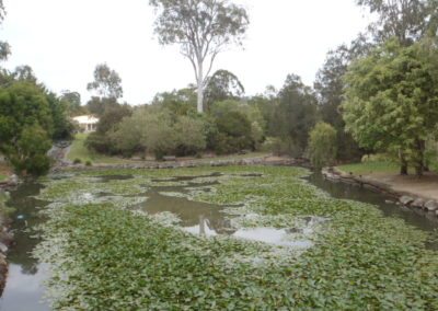 Waterbird Park – Rehabilitation design review and sediment removal plan