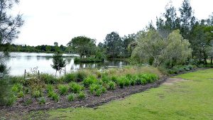 Norfolk Lake Foreshore Improvements