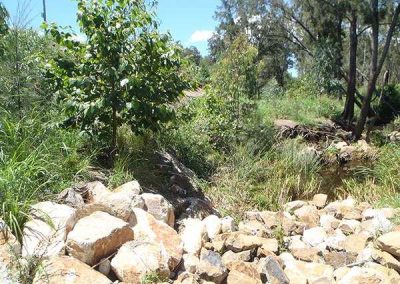 Bundamba Creek, Stream and Riparian Restoration Works