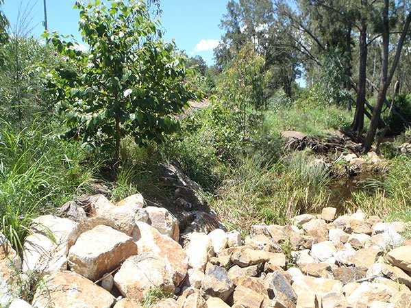 Bundamba Creek, Stream and Riparian Restoration Works