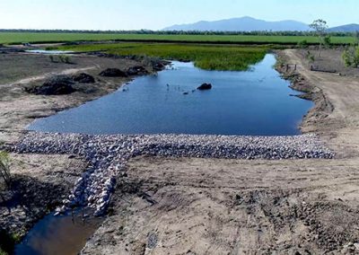 Barratta Creek – Constructed Wetland