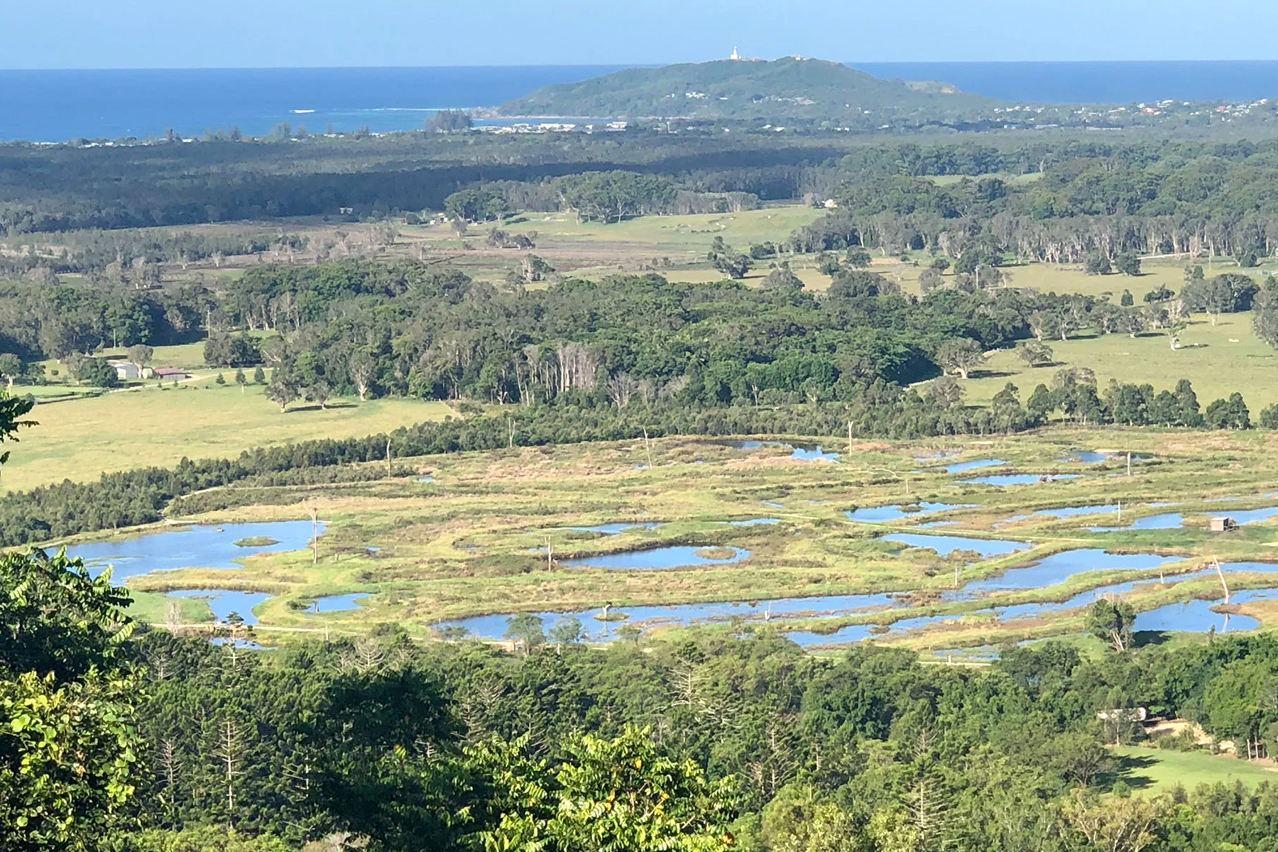 Seapeace – Wetland Design