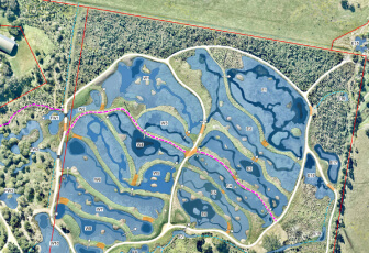 water-mgt-3