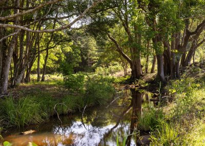 Emigrant Creek Health Assessment