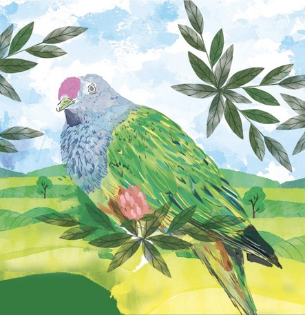 Lismore Biodiversity Management Strategy – Workshop + Review