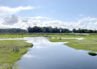 Gold Coast City Catchment Prioritisation Study