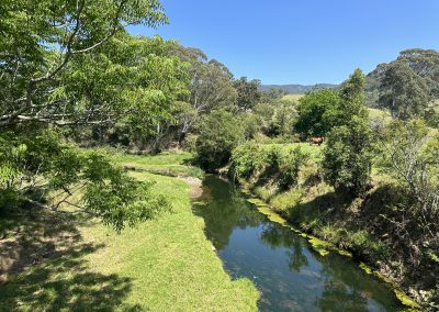 West Dapto Riparian Corridor Management Strategy