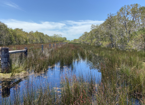 Broadwater National Park, NSW
