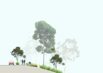 Currawong Reserve Waterway & Asset Protection