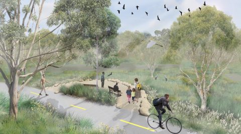Sandhills – Constructed Stormwater Wetland – Byron Bay, NSW