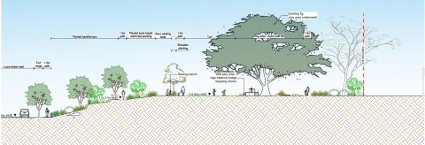 Allura Parklands, North Lismore Plateau, NSW