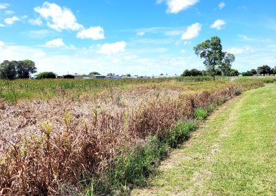 Casino Sewage Treatment Plant – Receiving Waterways Study