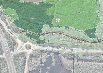 Brunswick Heads Boardwalk Design