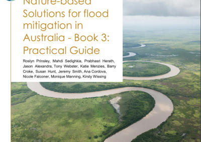 Nature Based Solution Guidelines